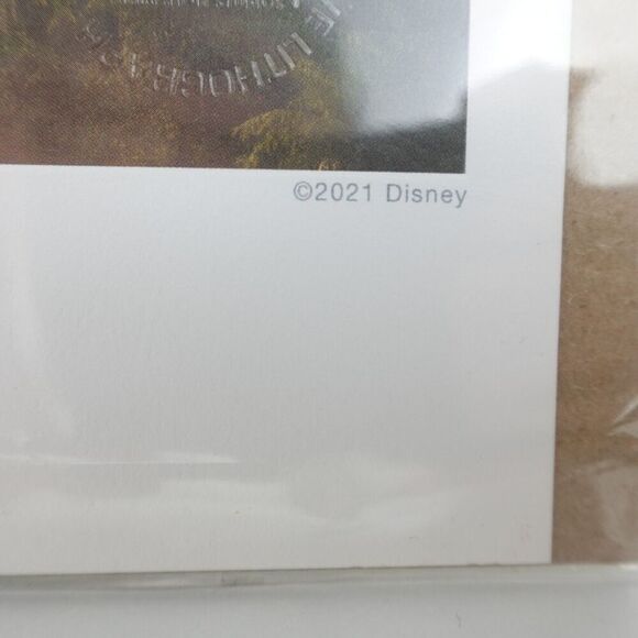 Disney Raya And The Last Dragon Collector’s Lithograph - Picture 7 of 12